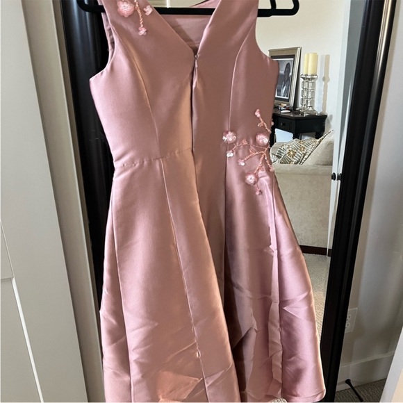 Nwot Teri Jon dress women size 4 pink blush with embellishments - Picture 7 of 13